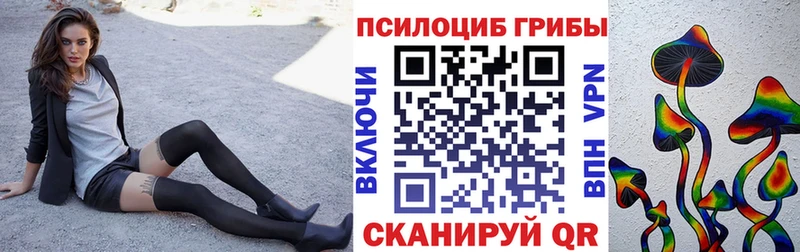 ссылка на мегу tor  shop какой сайт  Братск  Псилоцибиновые грибы мицелий  цена  
